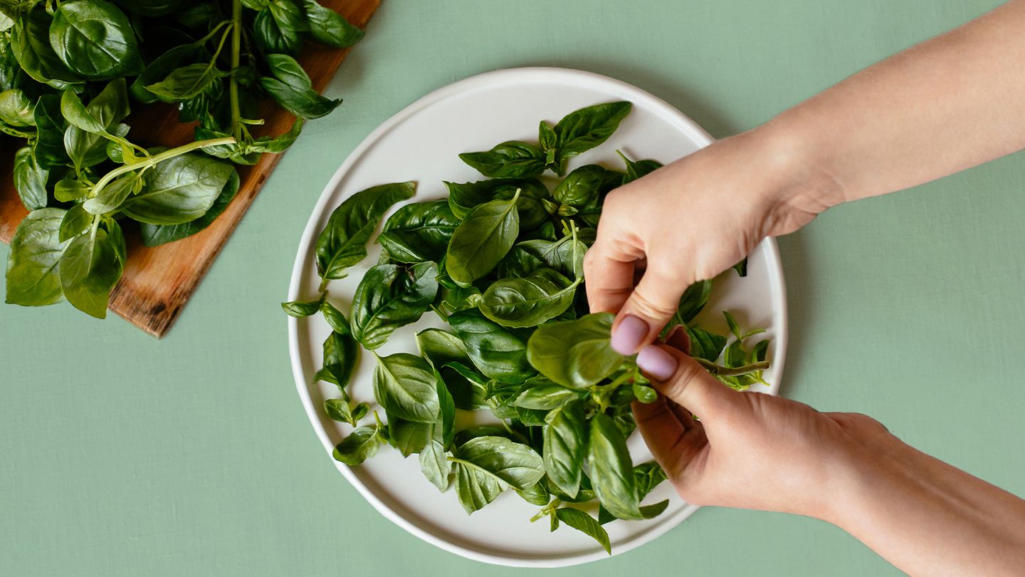 how-to-cook-with-herbs