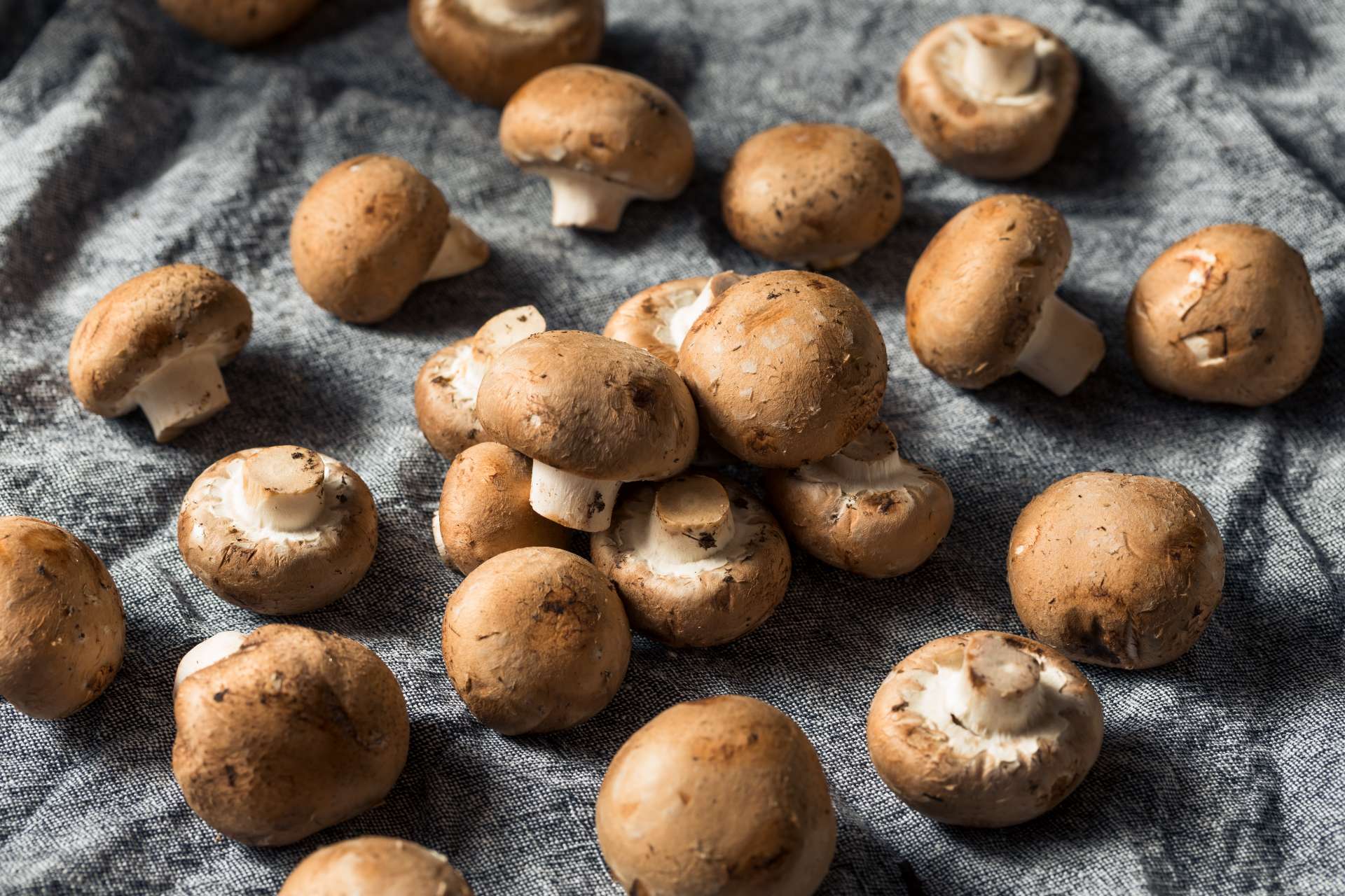 how-to-cut-baby-bella-mushrooms