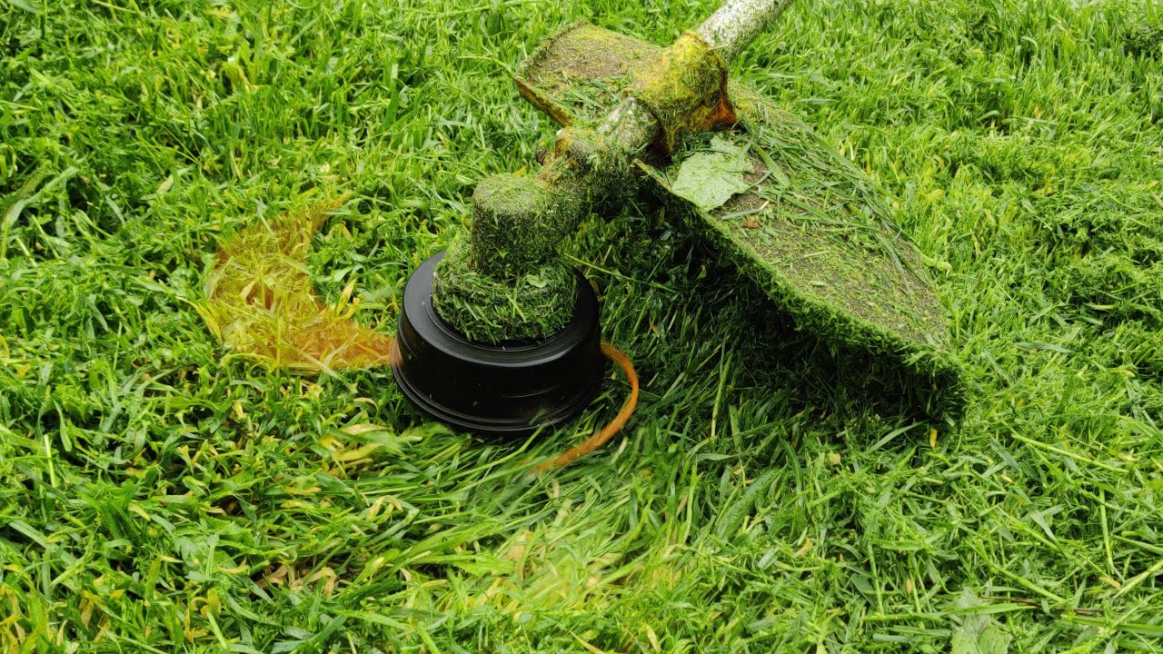 how-to-cut-grass-with-a-string-trimmer