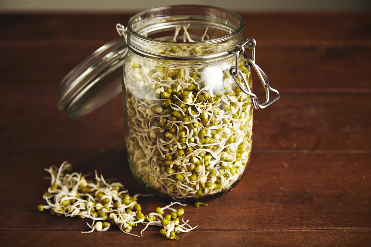 how-to-grow-bean-sprouts-in-a-jar