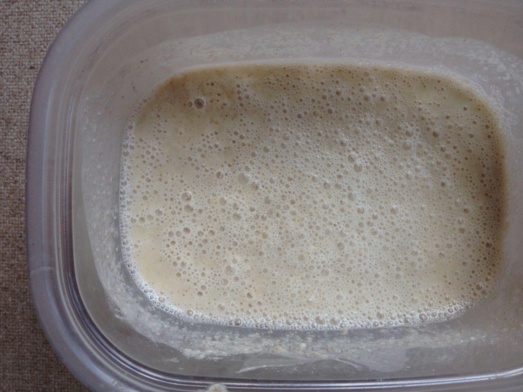 how-to-know-when-your-sourdough-starter-is-ready
