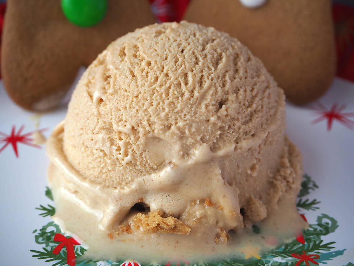 how-to-make-gingerbread-ice-cream