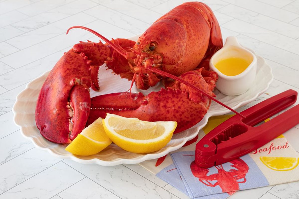 How to Steam a Whole Lobster + How to Eat It Too!