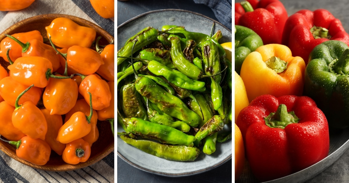 how-to-use-peppers-of-all-kinds