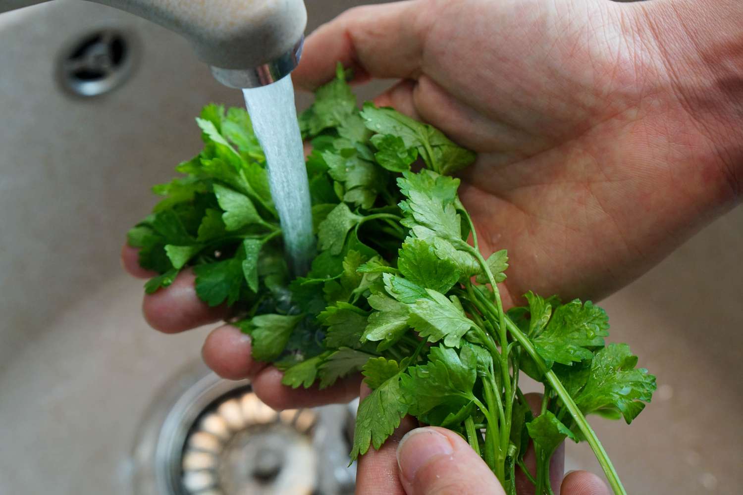 how-to-wash-and-chop-herbs-a-step-by-step-guide