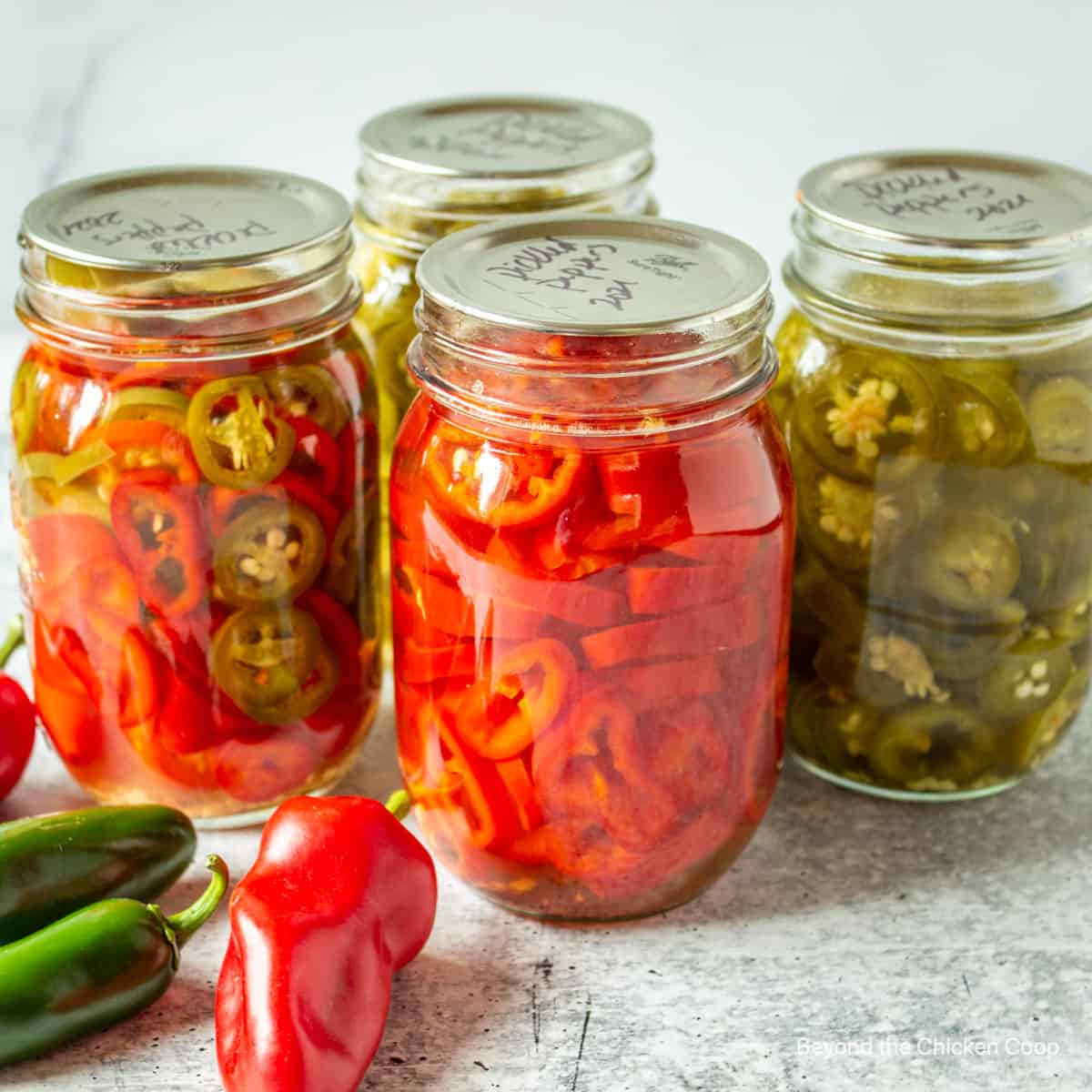 in-a-pickle-pickled-hot-pepper-rings