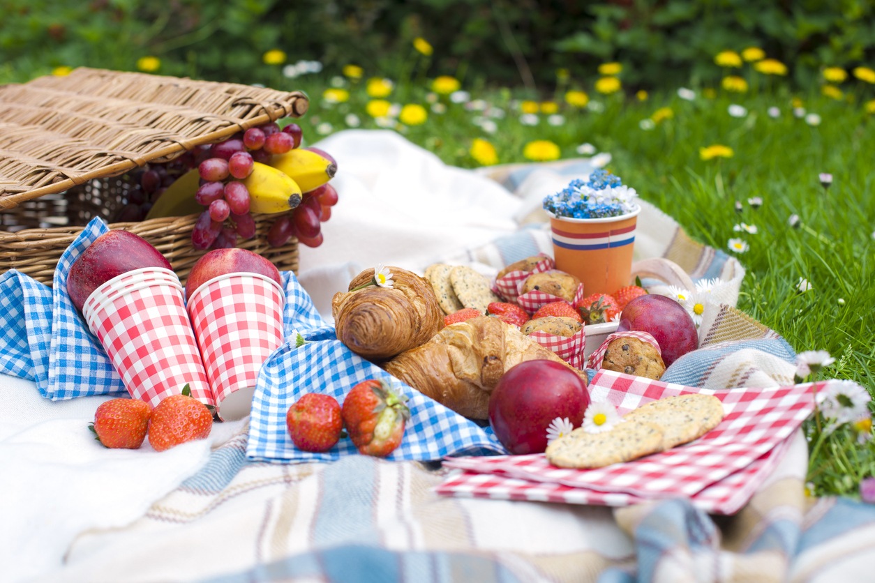 our-best-picnic-tips-and-tricks