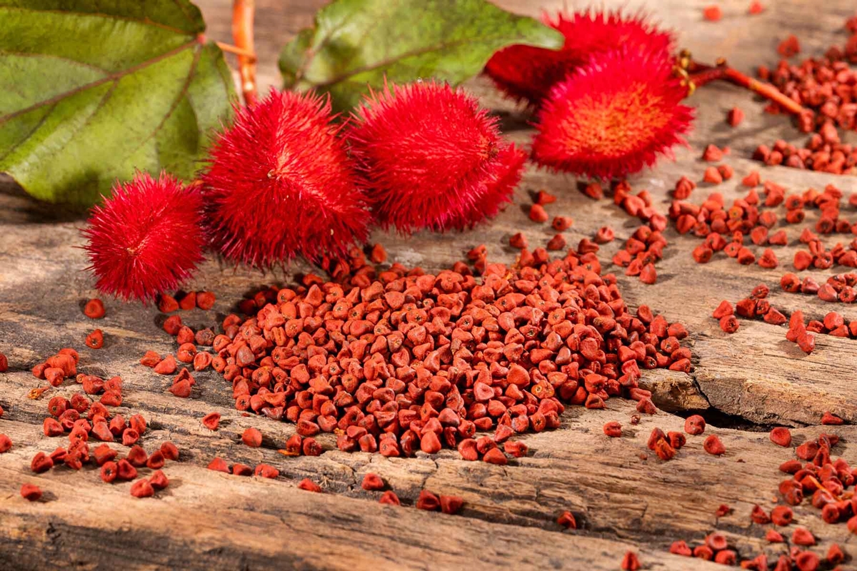 spice-hunting-annato-seeds-achiote