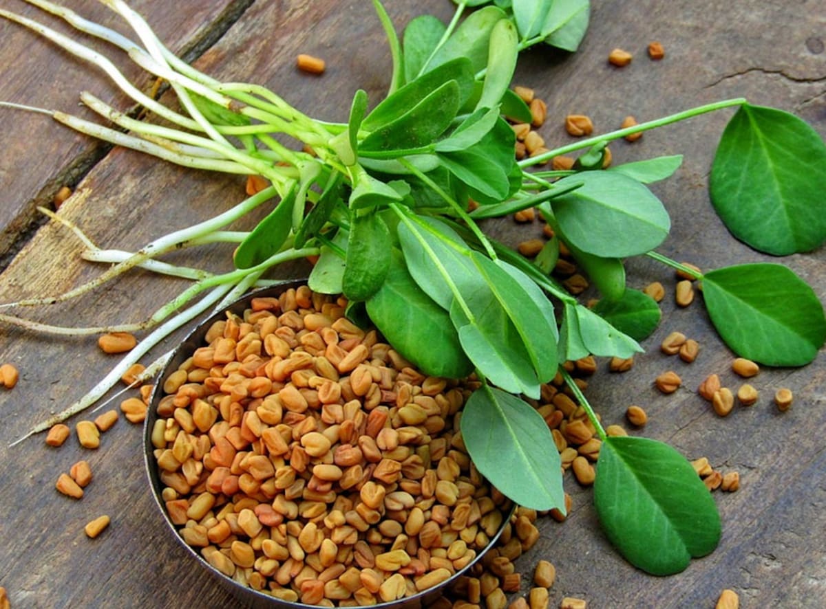 spice-hunting-how-to-use-fenugreek-methi