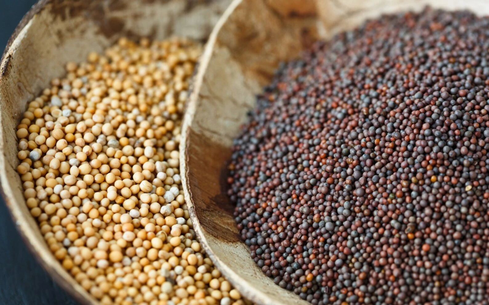 spice-hunting-mustard-seed