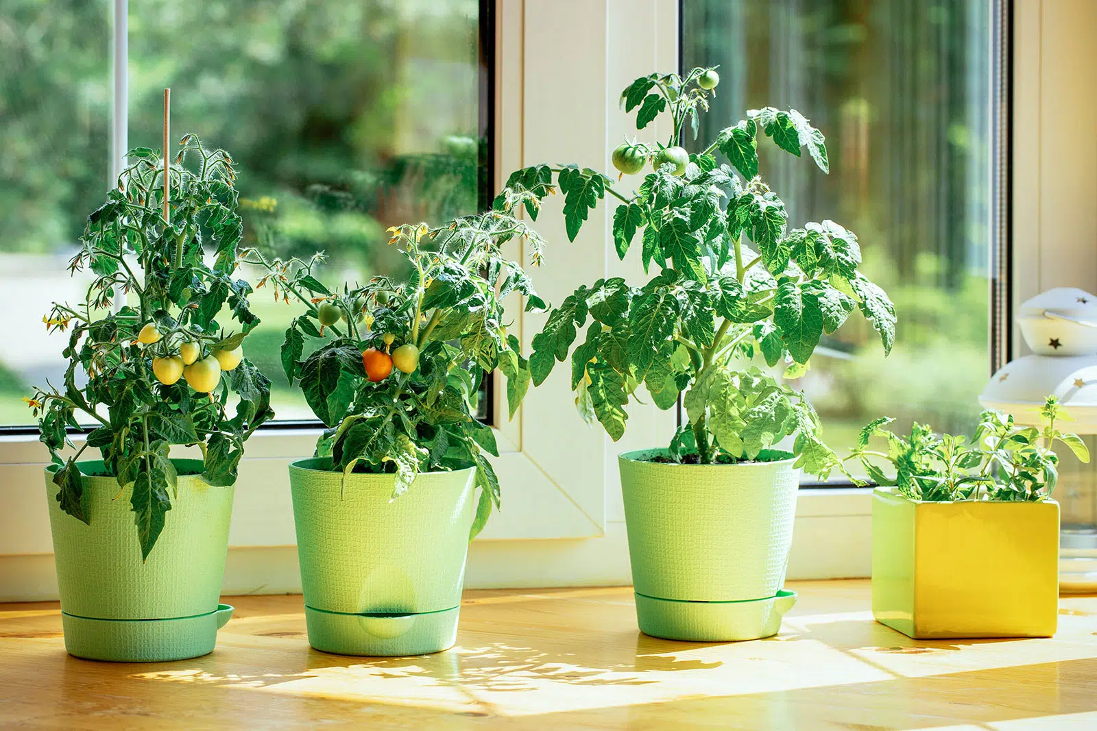 the-easiest-herbs-and-vegetables-to-grow-indoors