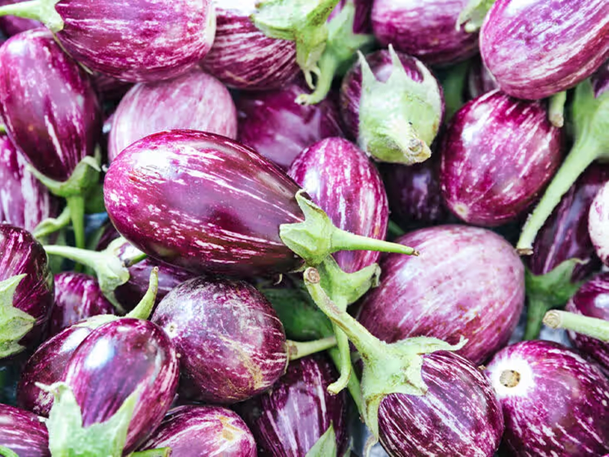 the-health-benefits-of-aubergines
