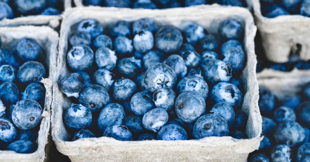 top-5-health-benefits-of-blueberries