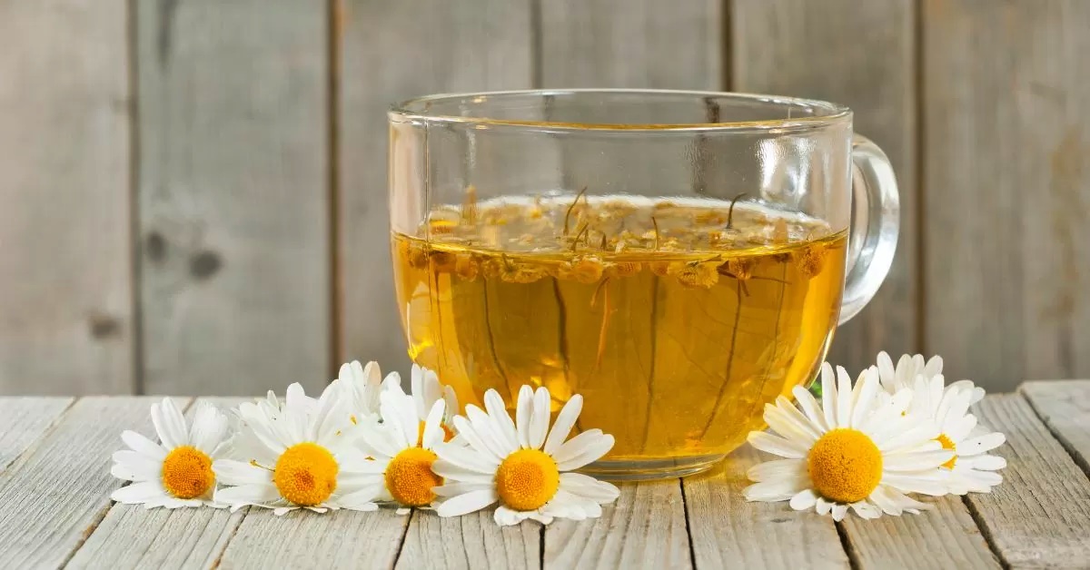 top-5-health-benefits-of-chamomile-tea
