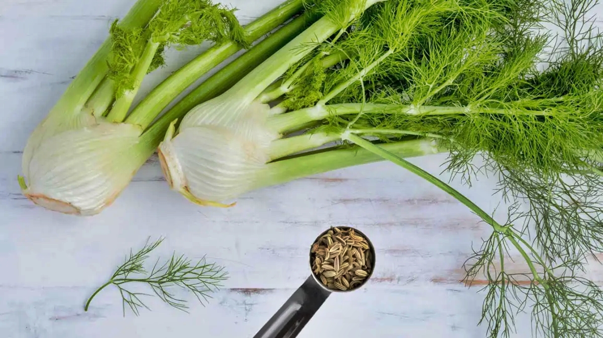 top-5-health-benefits-of-fennel
