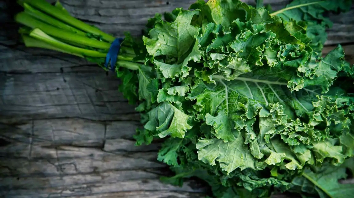 top-5-health-benefits-of-kale