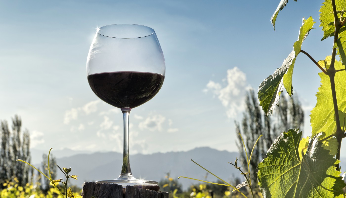 why-you-should-be-drinking-chilean-wine