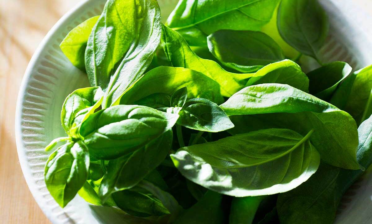 hey-chef-what-can-i-do-with-basil