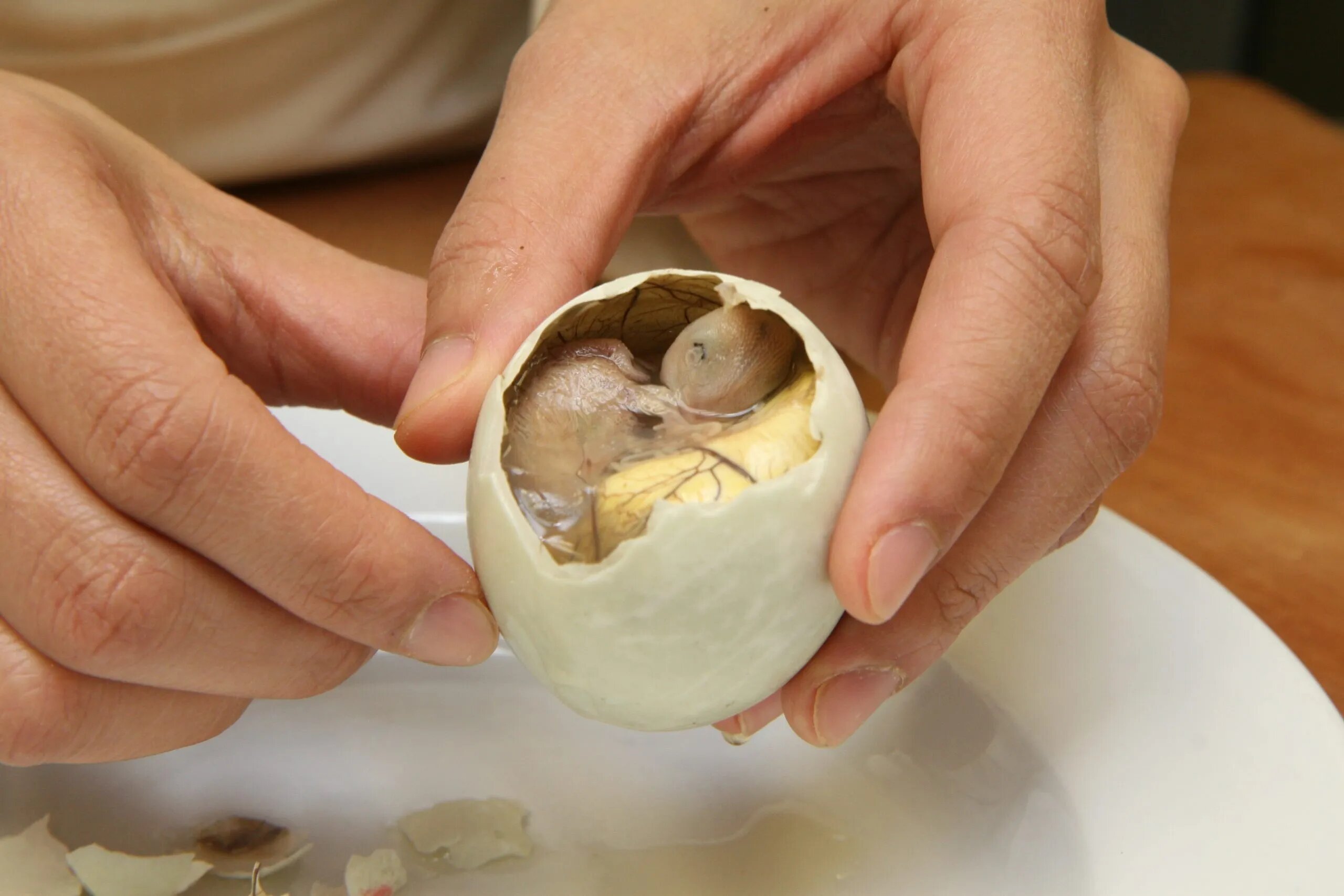 how-to-boil-balut