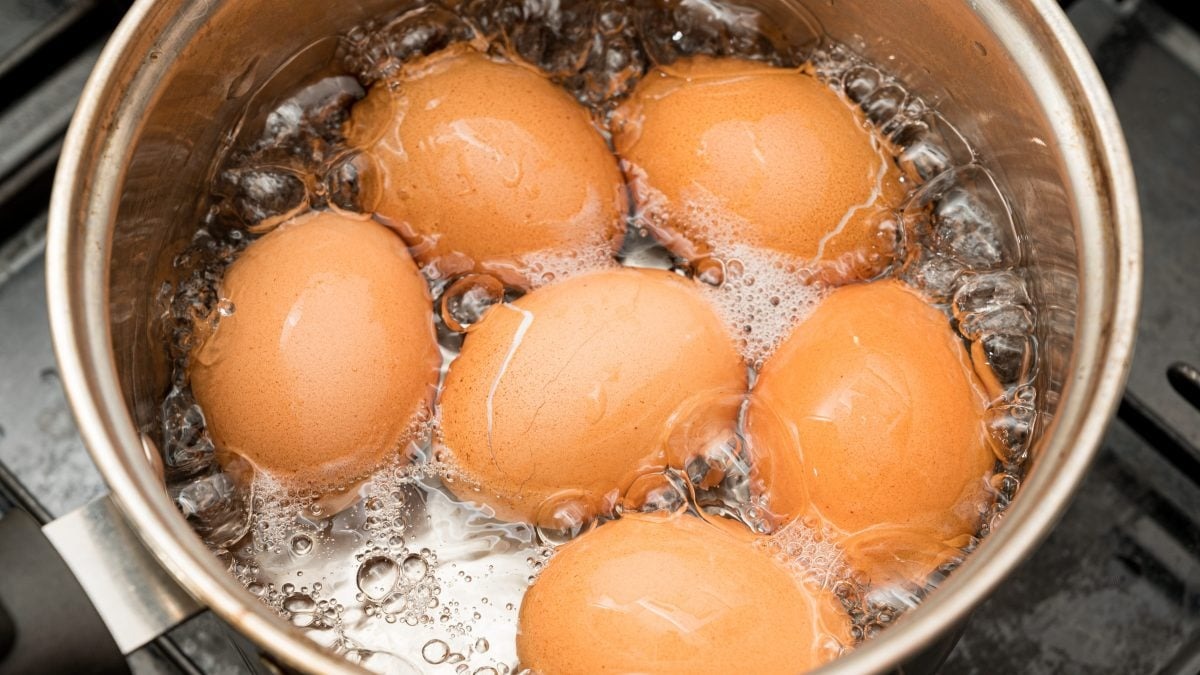 how-to-boil-brown-eggs