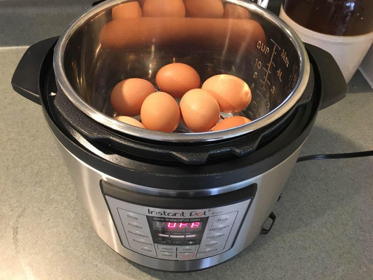 Eggs in the instant pot online duo