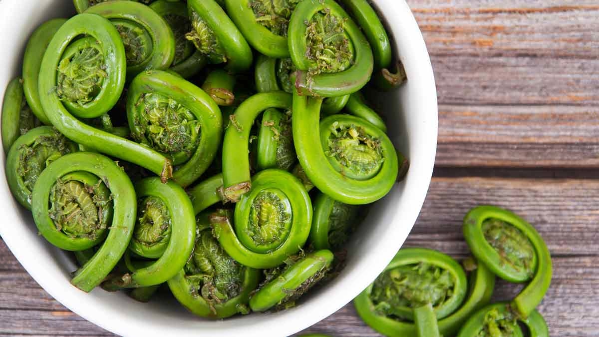 how-to-boil-fiddleheads