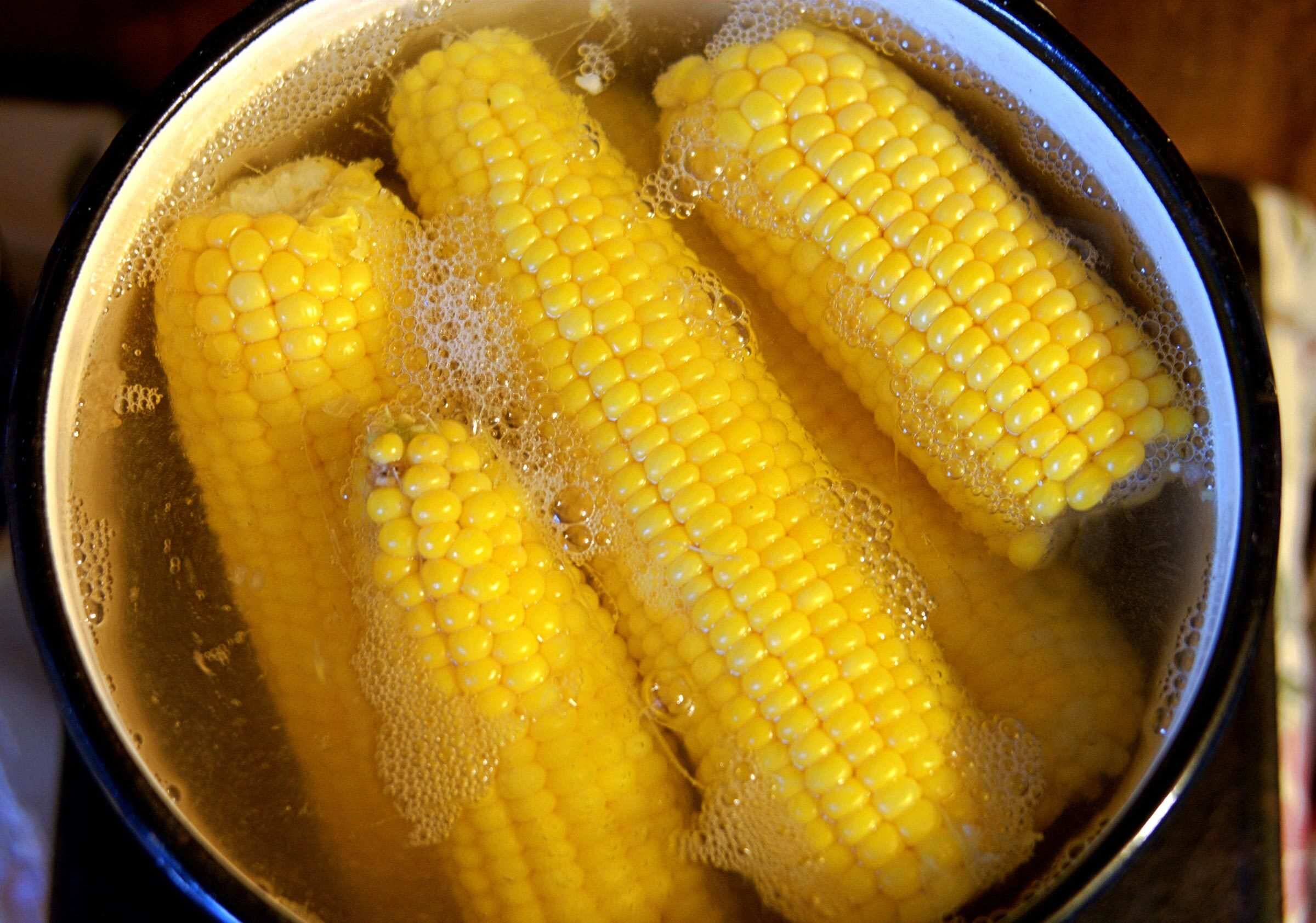 how-to-boil-fresh-corn-on-the-cob