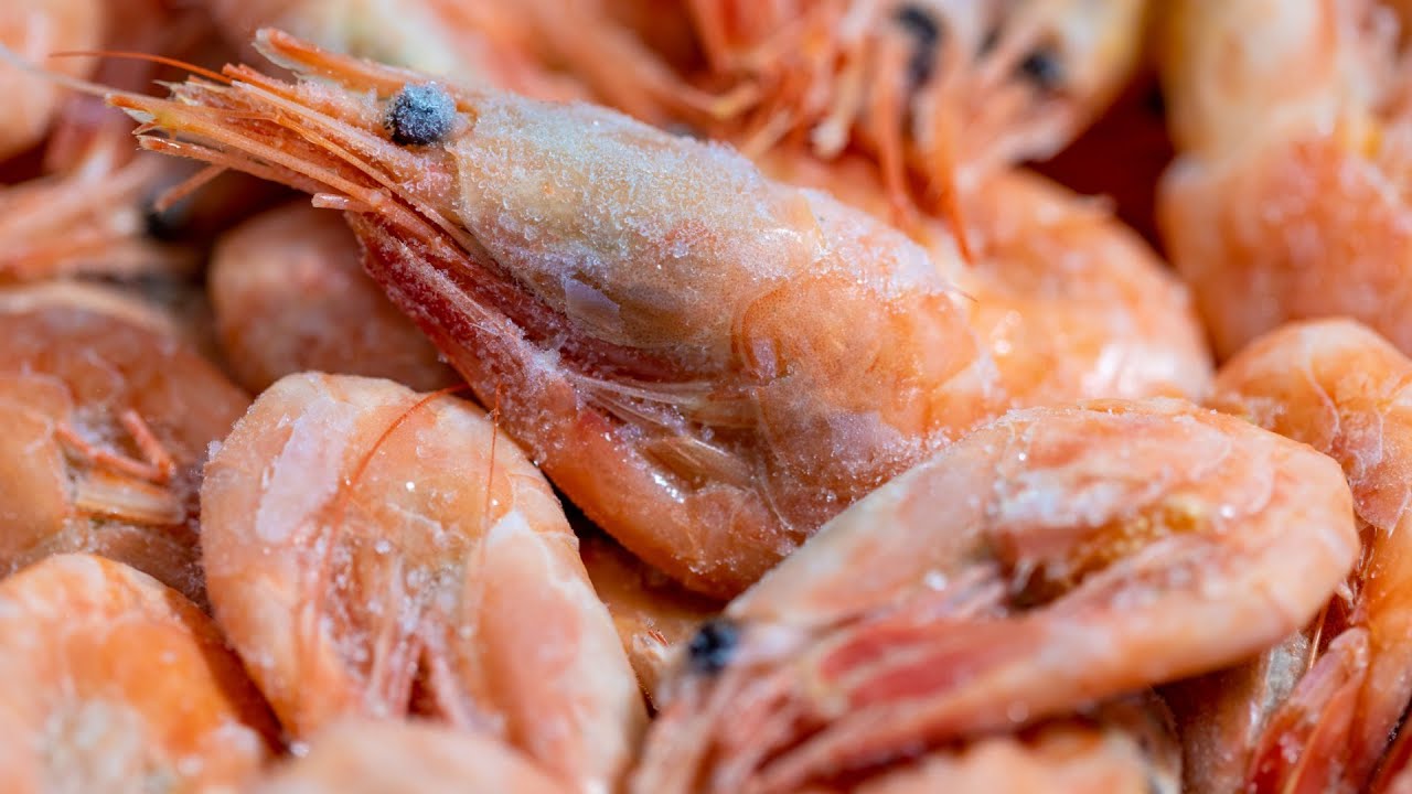 how-to-boil-frozen-raw-shrimp
