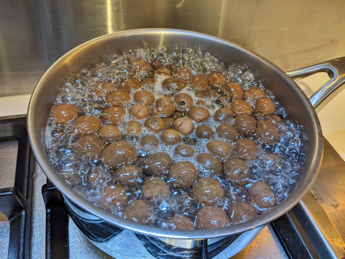 how-to-boil-leca