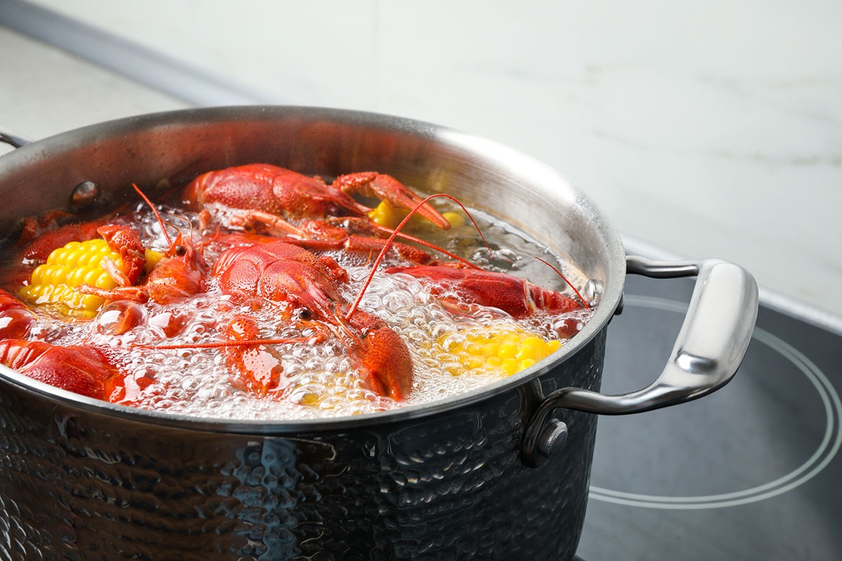 Buy Lobster Cooking Pot  Classic Pot to Boil Steam Live Lobster