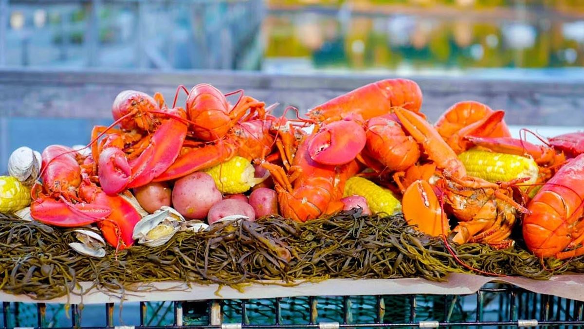 how-to-boil-maine-lobster