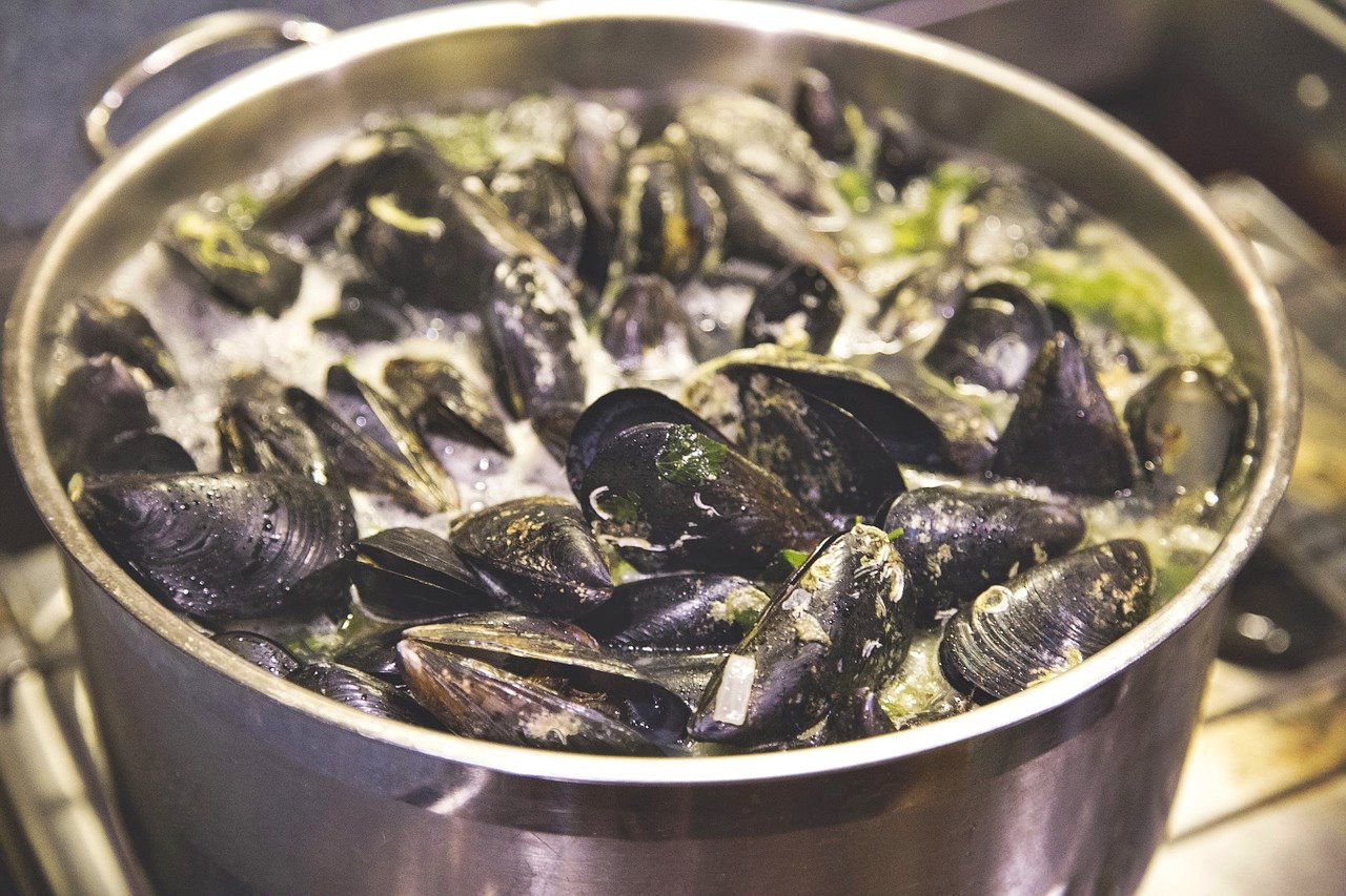 how-to-boil-mussels-in-water