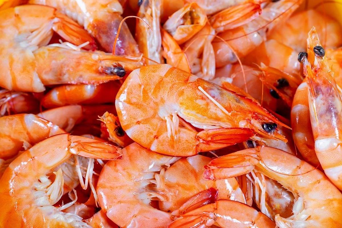 how-to-boil-shelled-shrimp