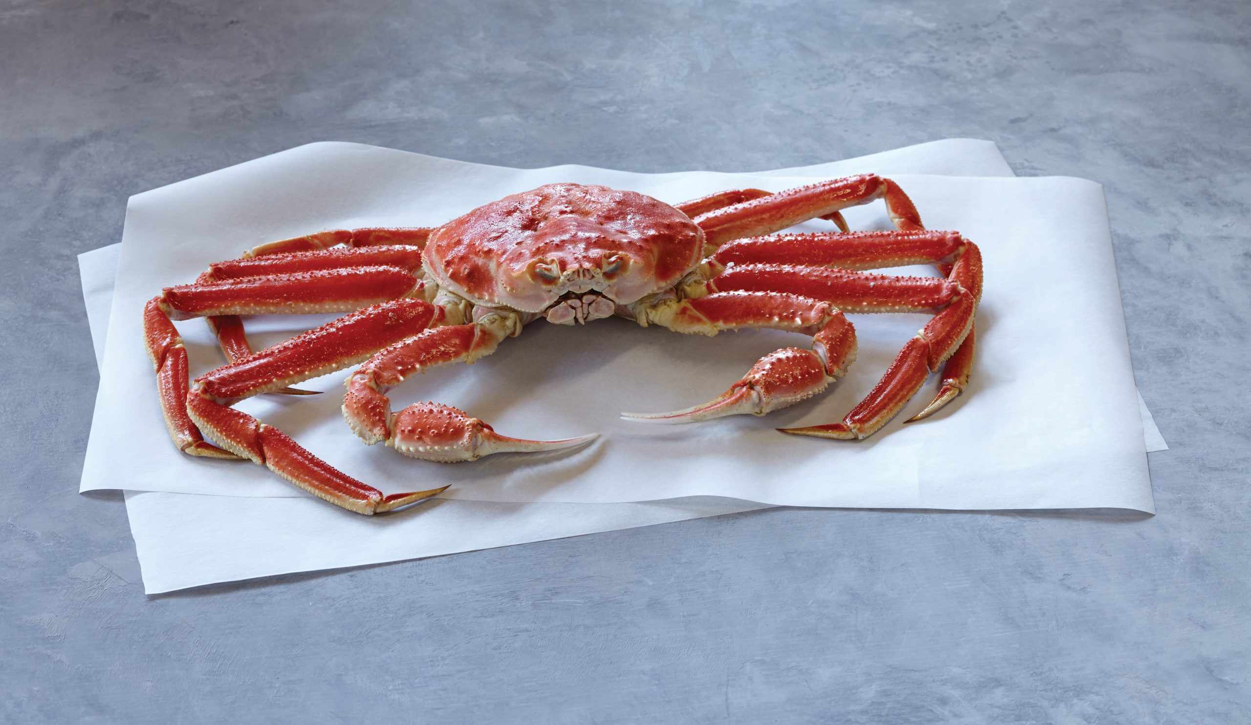 how-to-boil-snow-crab