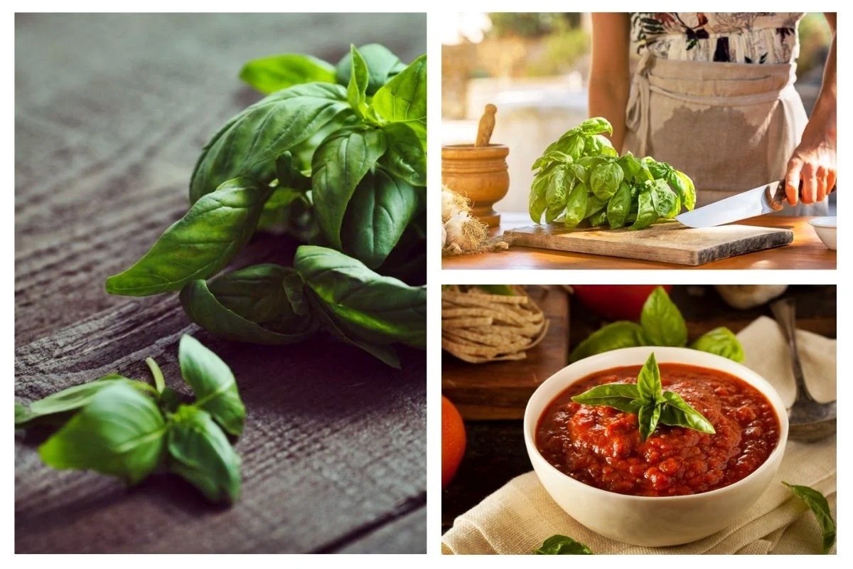 how-to-chop-basil-for-spaghetti