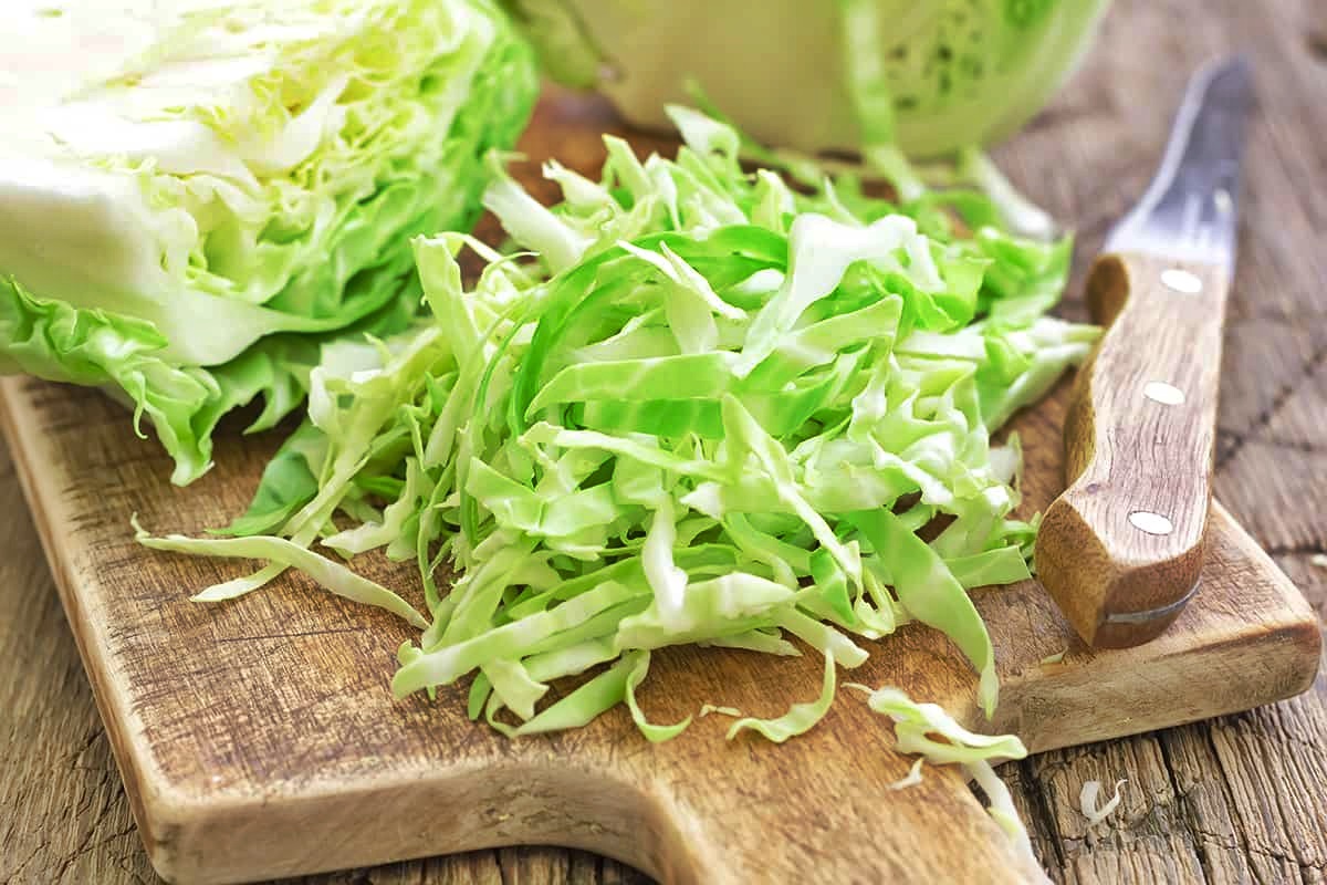 how-to-chop-cabbage-in-food-processor