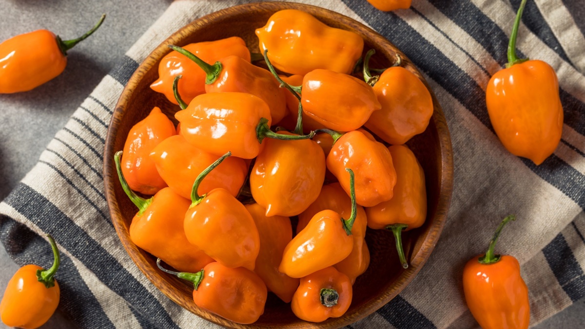 how-to-chop-habanero-peppers