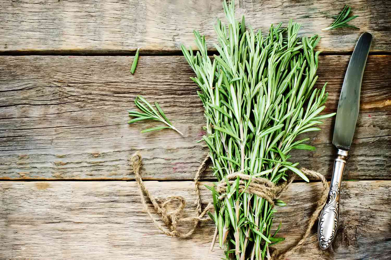 how-to-chop-rosemary