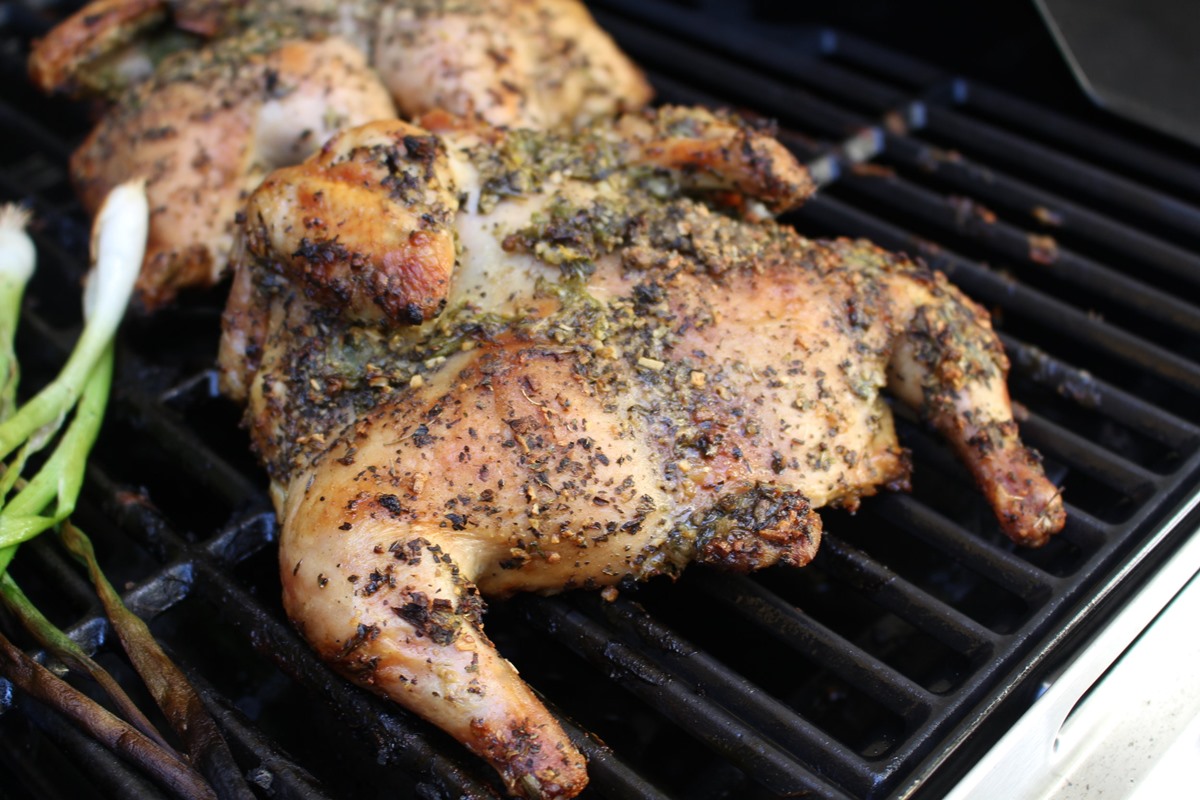 How To Cook A Cornish Hen On The Grill - Recipes.net