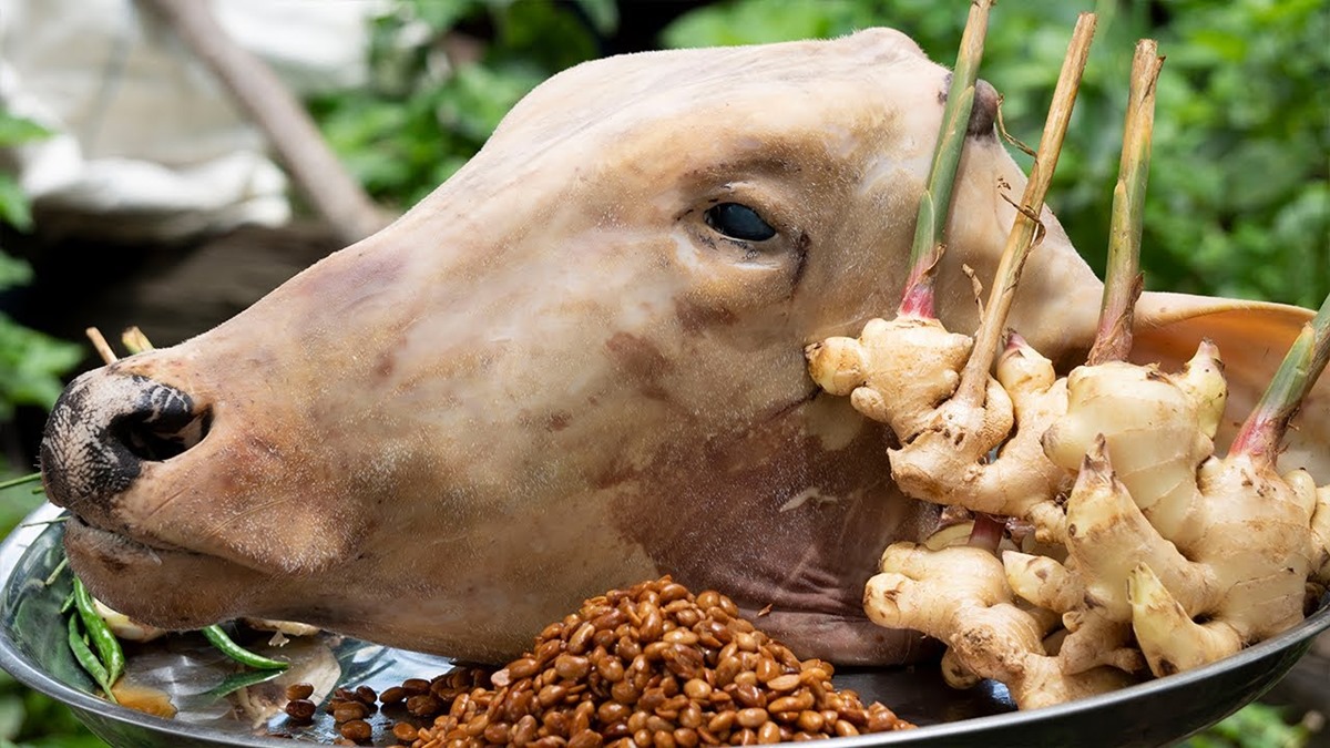 how-to-cook-a-cow-head-in-the-ground