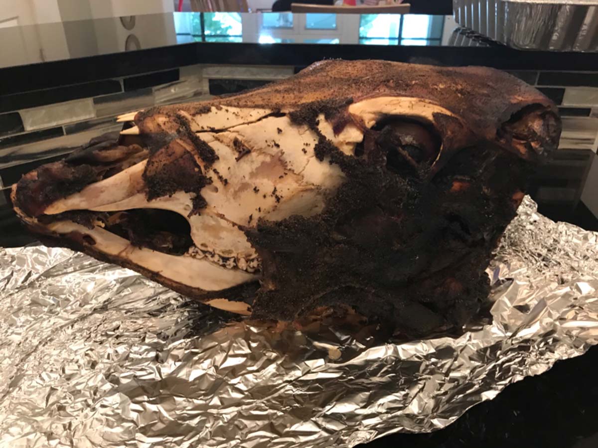 how-to-cook-a-cow-head-in-the-oven