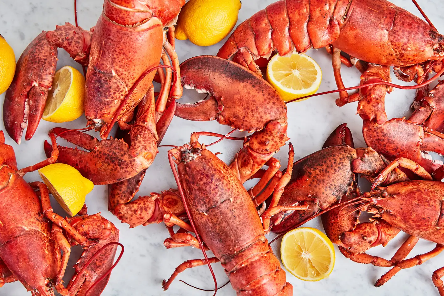 How To Cook A Lobster At Home - Recipes.net