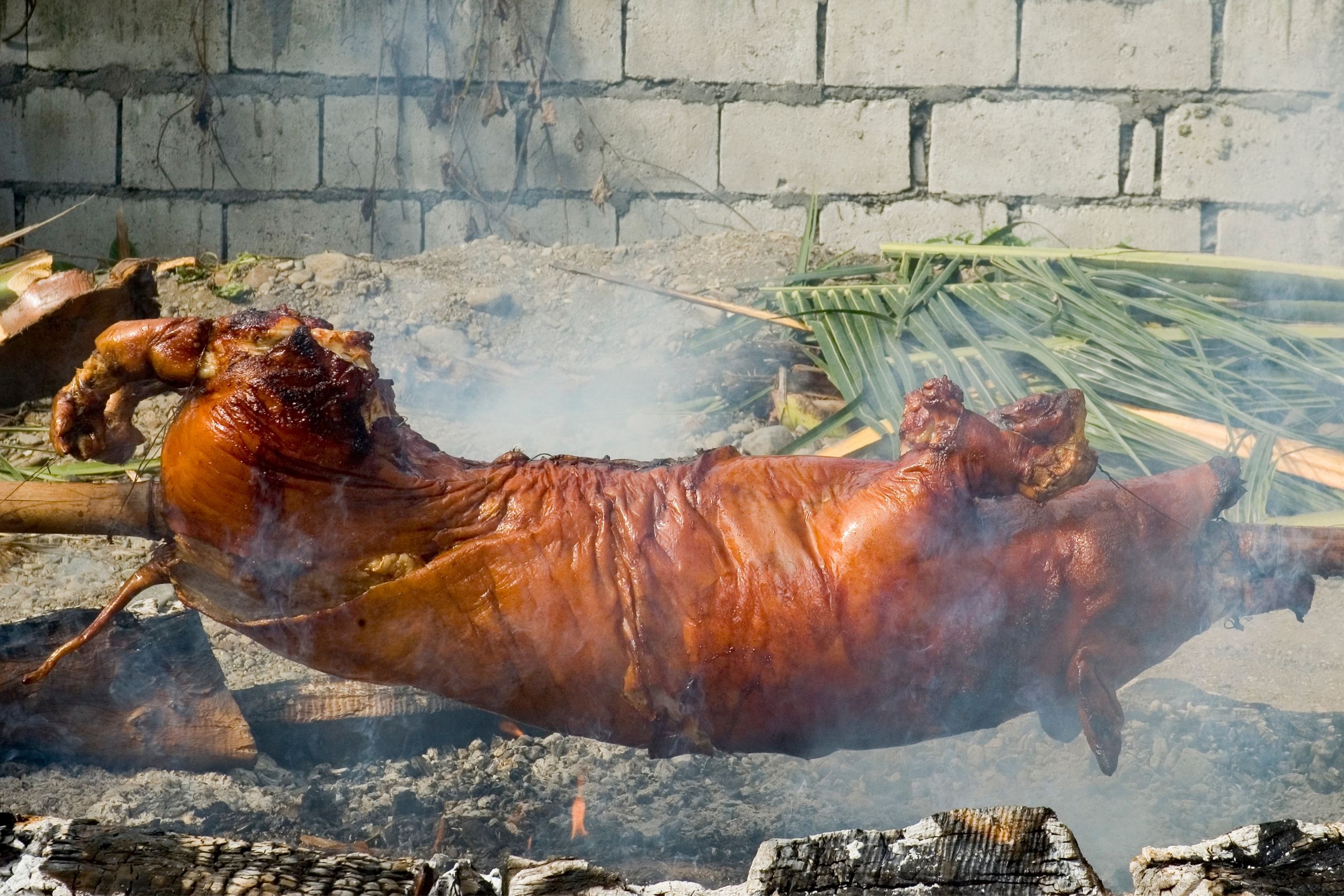 how-to-cook-a-pig-in-the-ground-southern-style