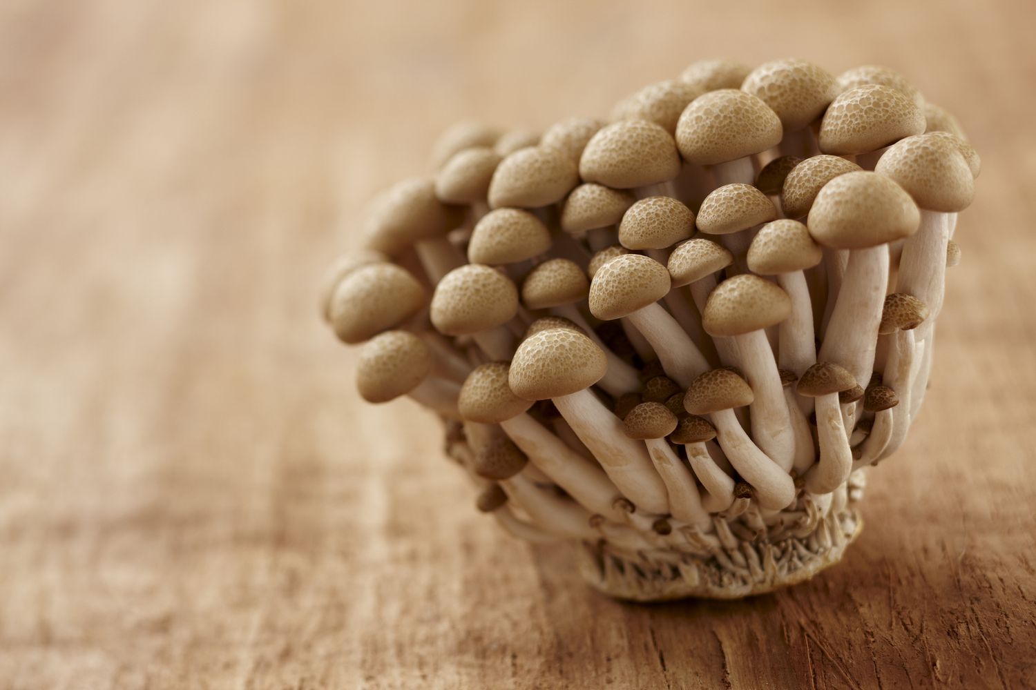 how-to-cook-beech-mushrooms