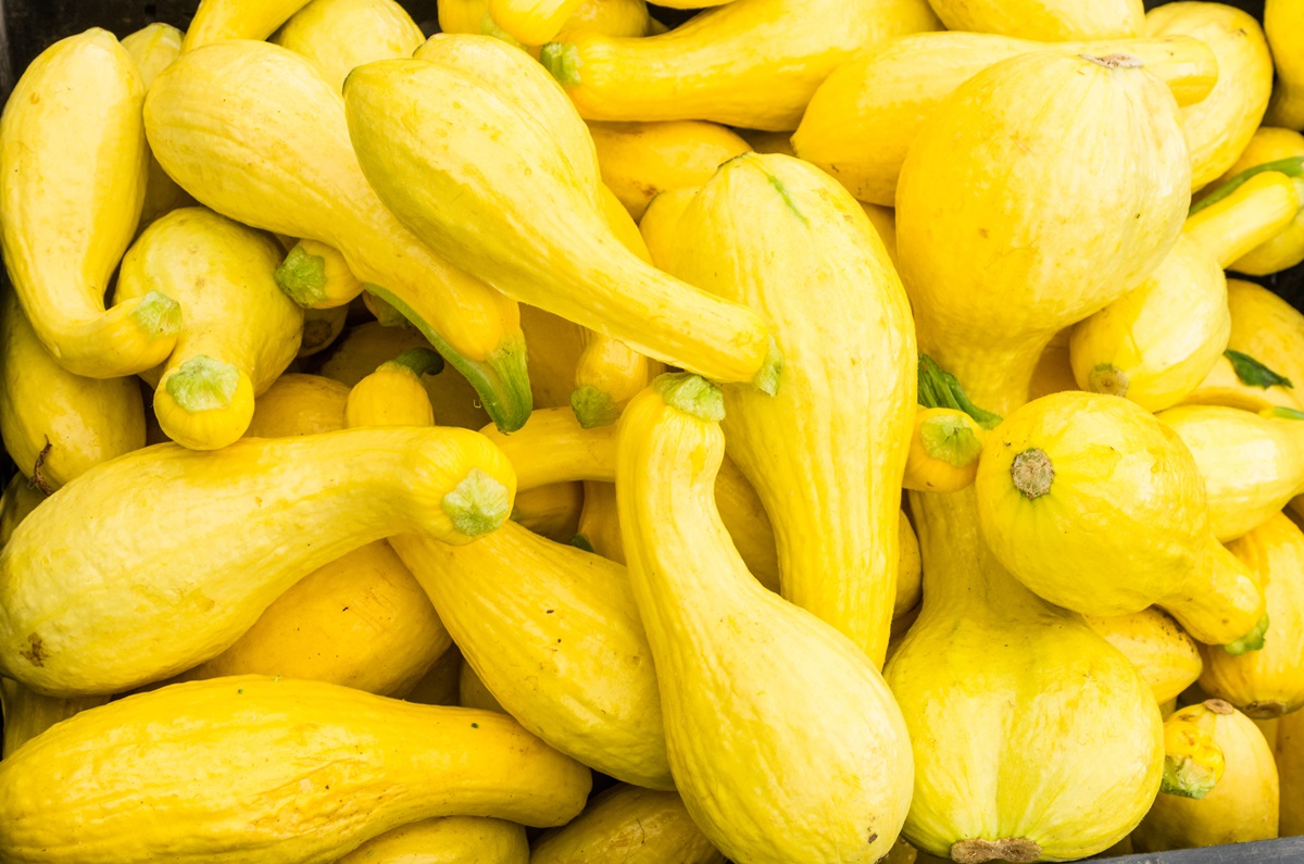 How To Cook Bumpy Yellow Crookneck Squash