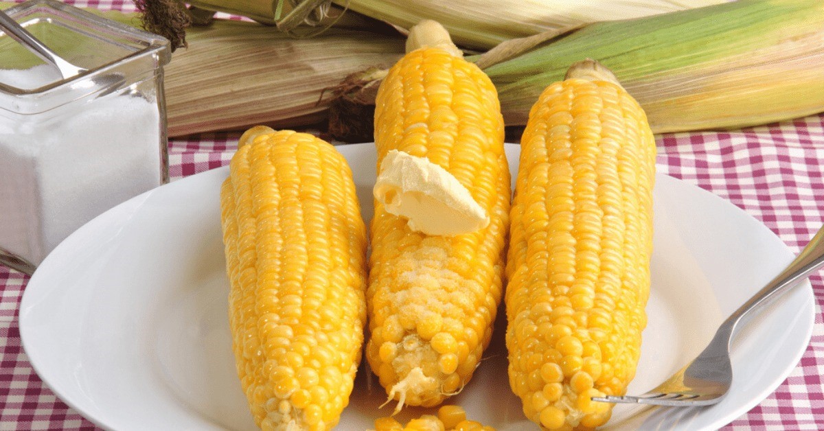 how-to-cook-corn-on-the-cob-in-a-cooler