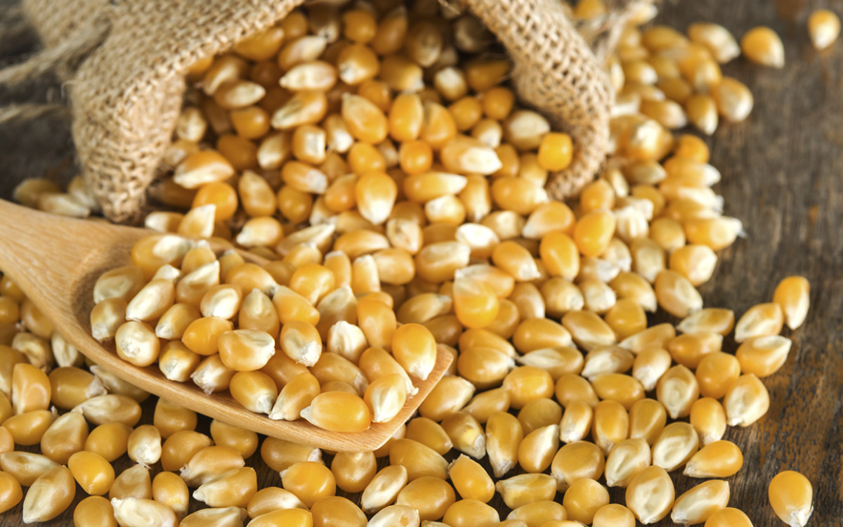 how-to-cook-dried-corn