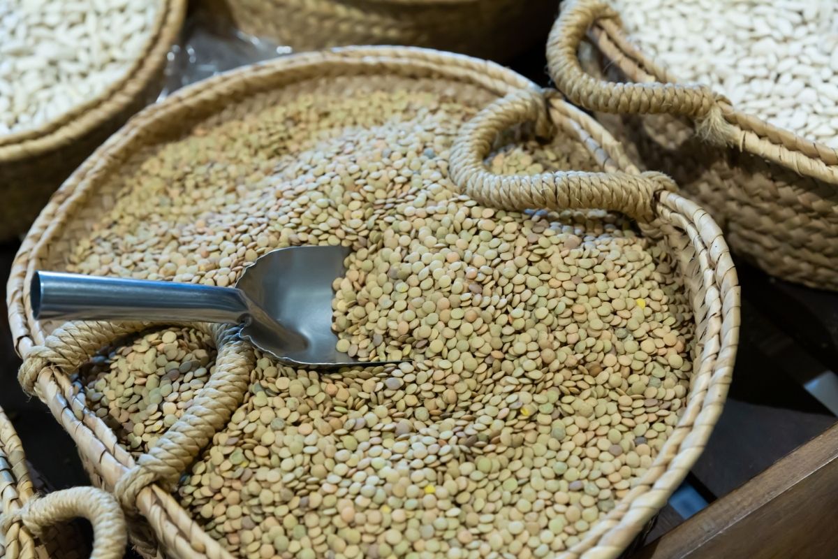 how-to-cook-dried-lentils