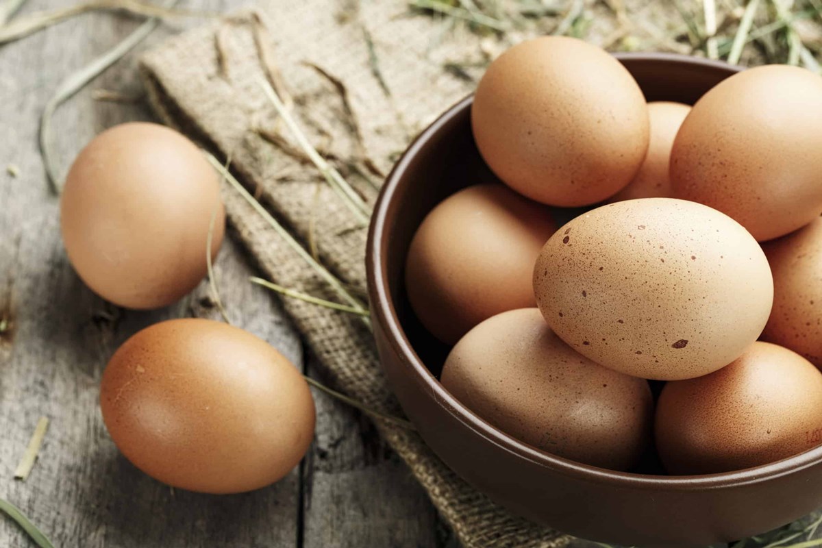 how-to-cook-farm-fresh-eggs