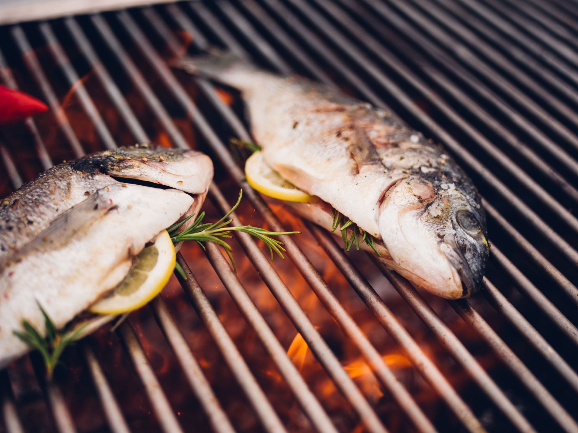 how-to-cook-fish-on-a-grill